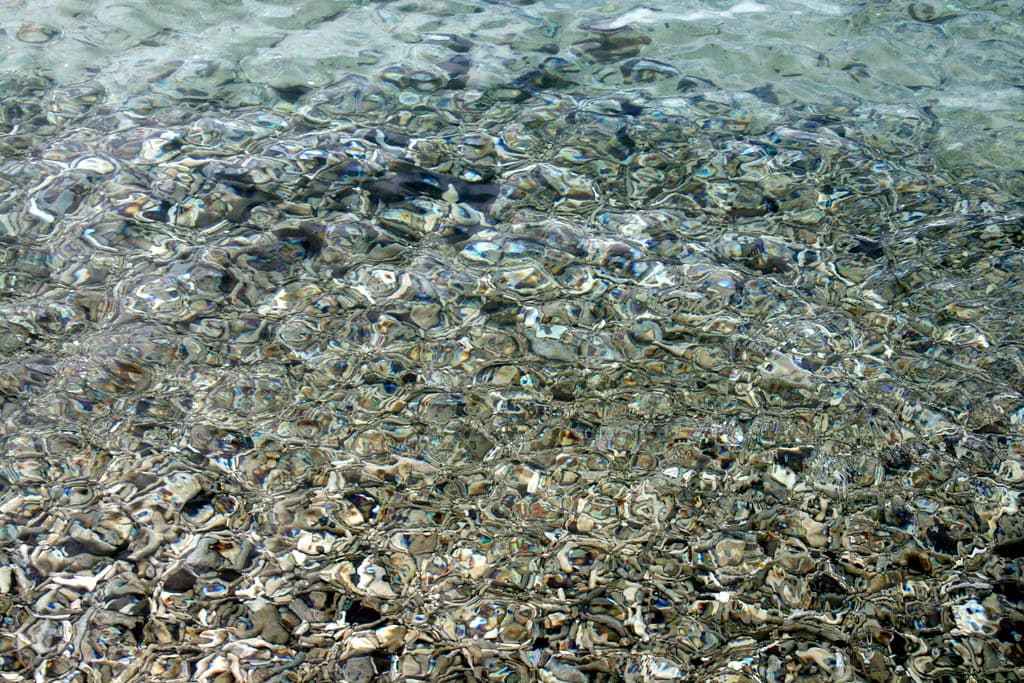 Clear Water, Lover's Cove. Daydream Island, Queensland, Australia.