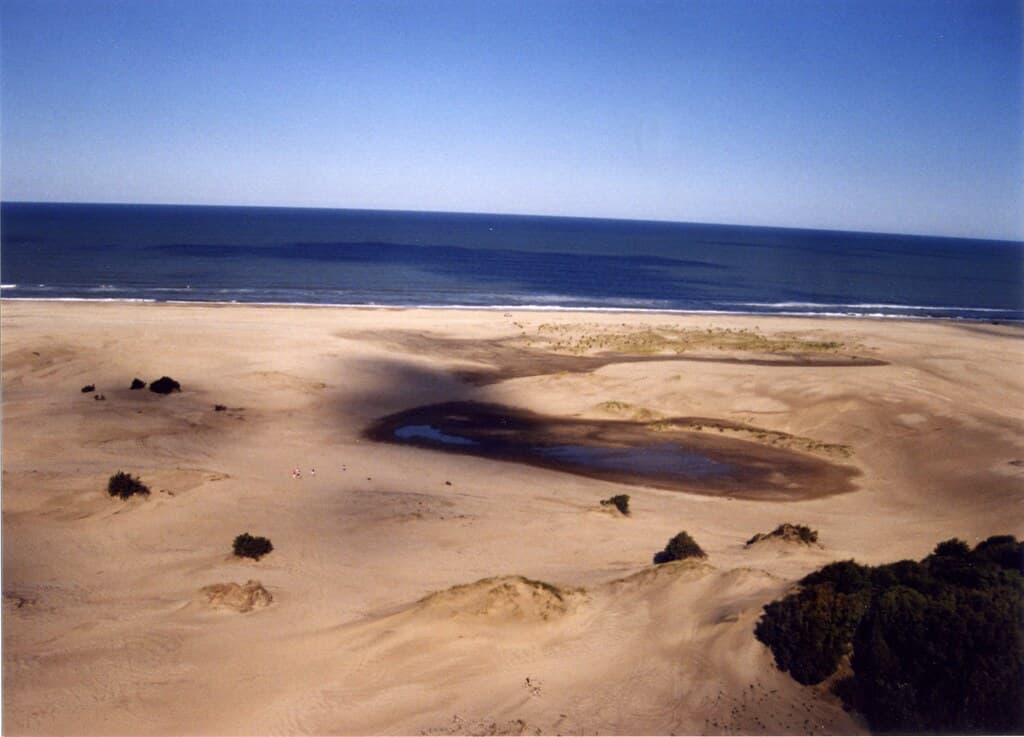 Gesell