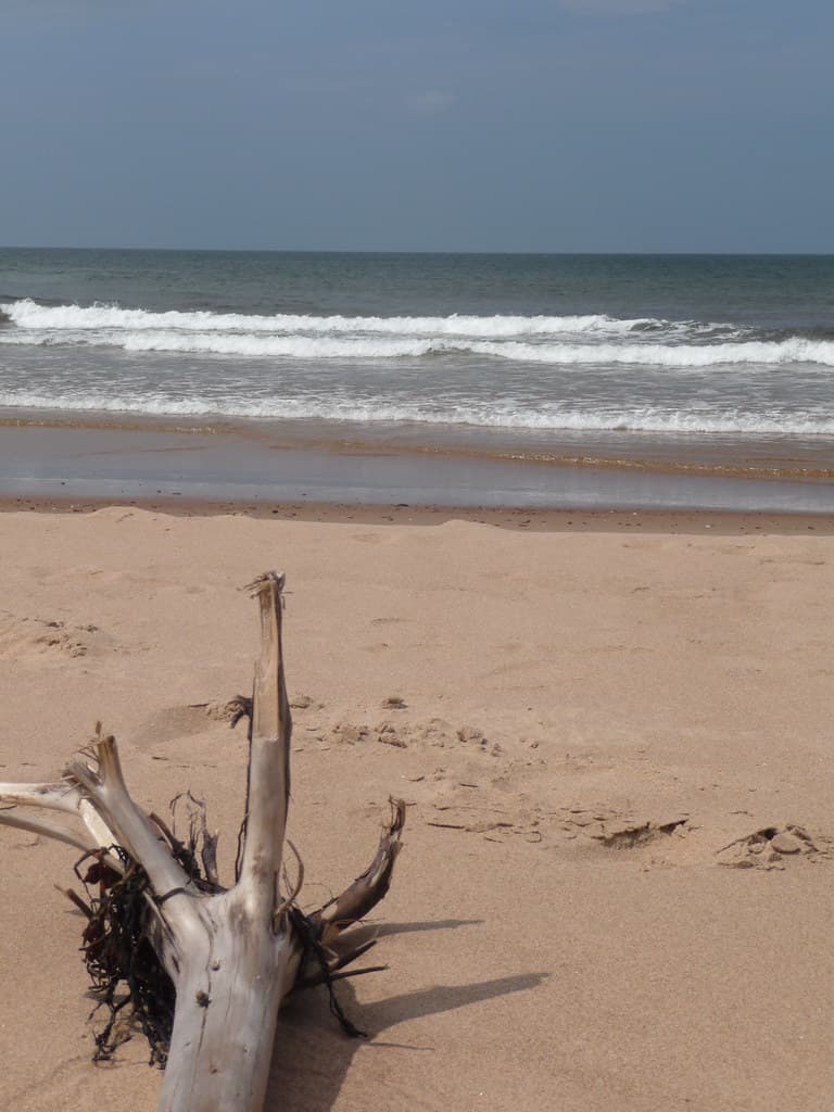 Cable Head Beach — photo by TonZ