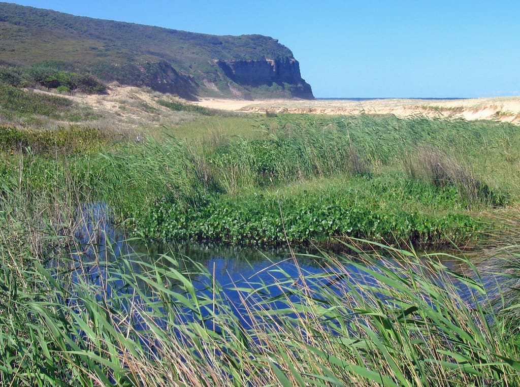 Dudley Beach - Coastal Lagoon