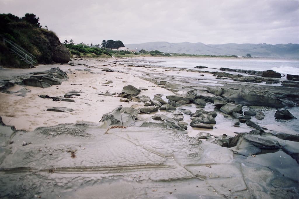 IMGP0553