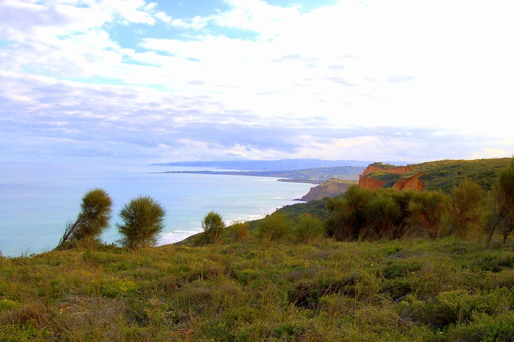 Anglesea
