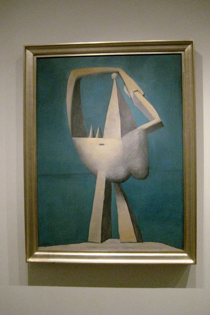 NYC - Metropolitan Musem of Art - Pablo Picasso's Nude Standing by the Sea