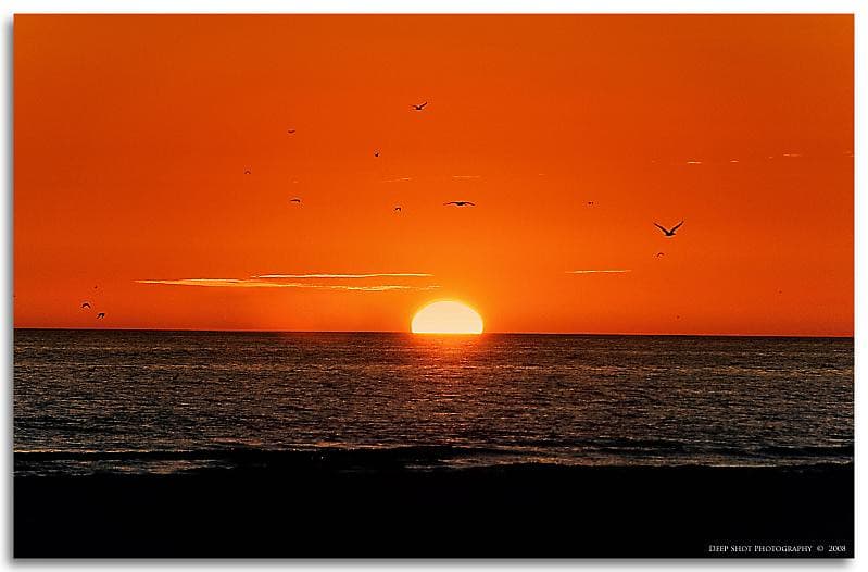 Sunset at Siesta Key