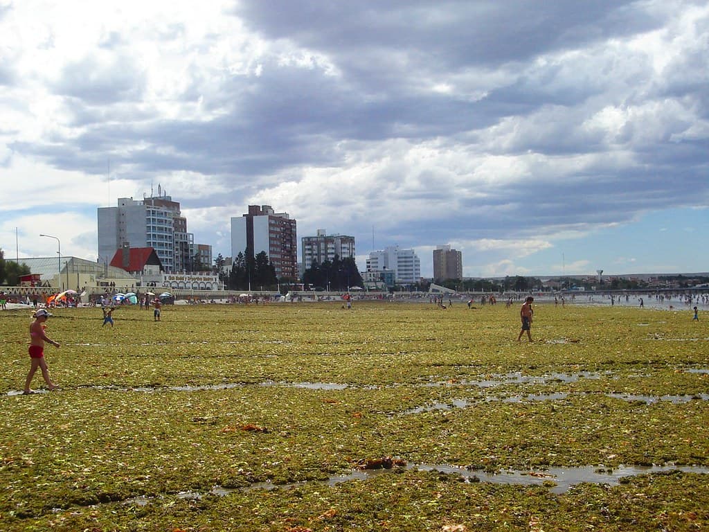 Playa (?) de Puerto Madryn