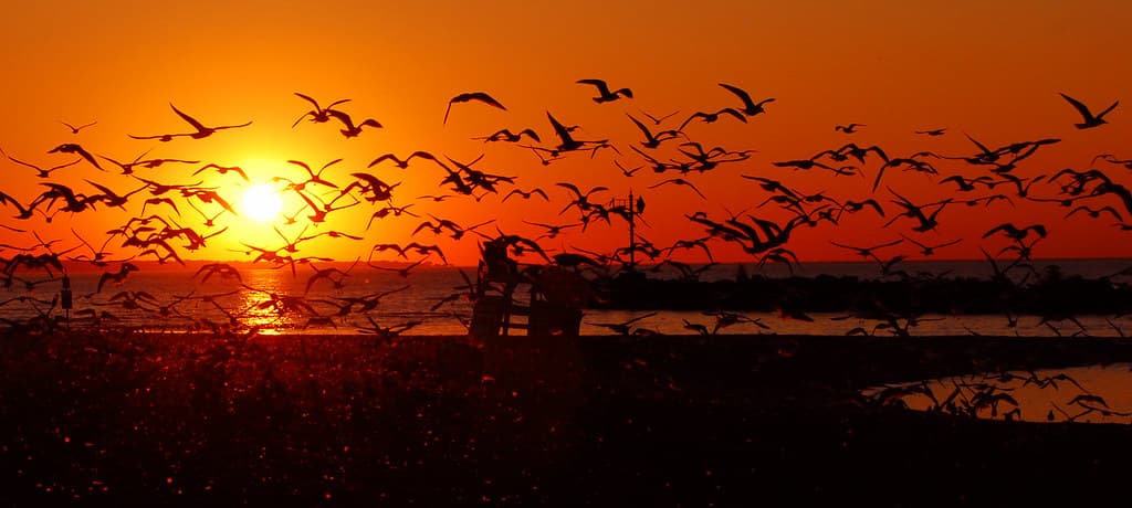 Sunset at Lakeview Park