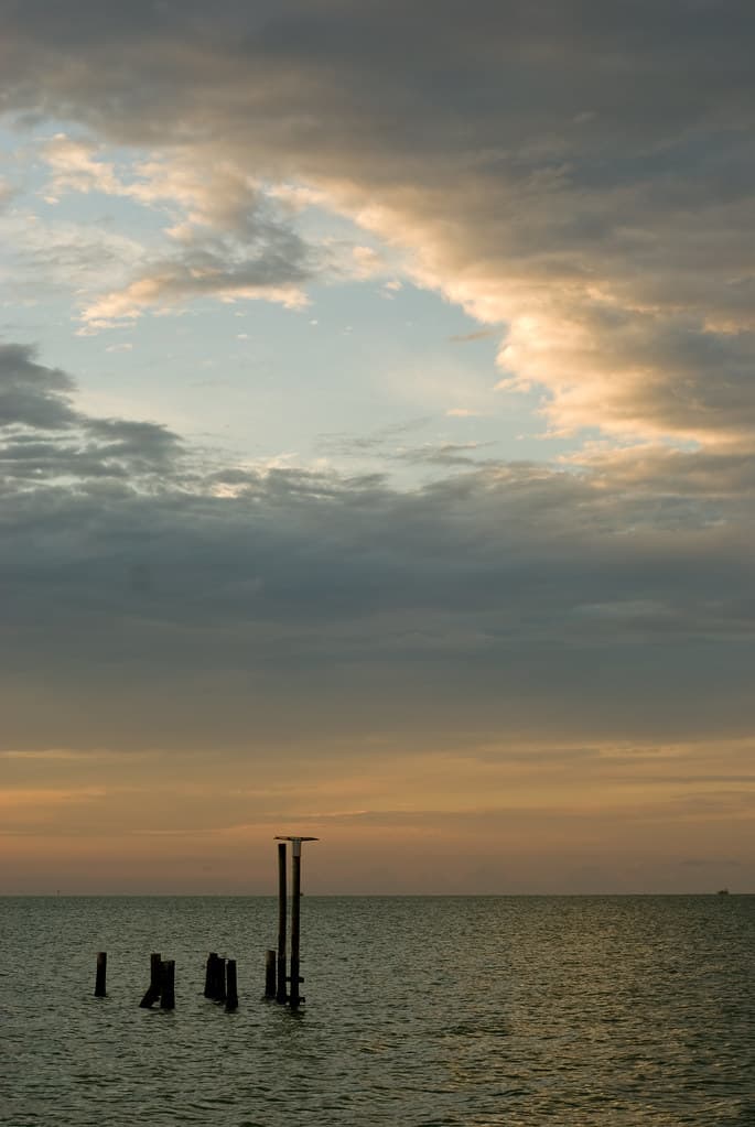 _DSC7730