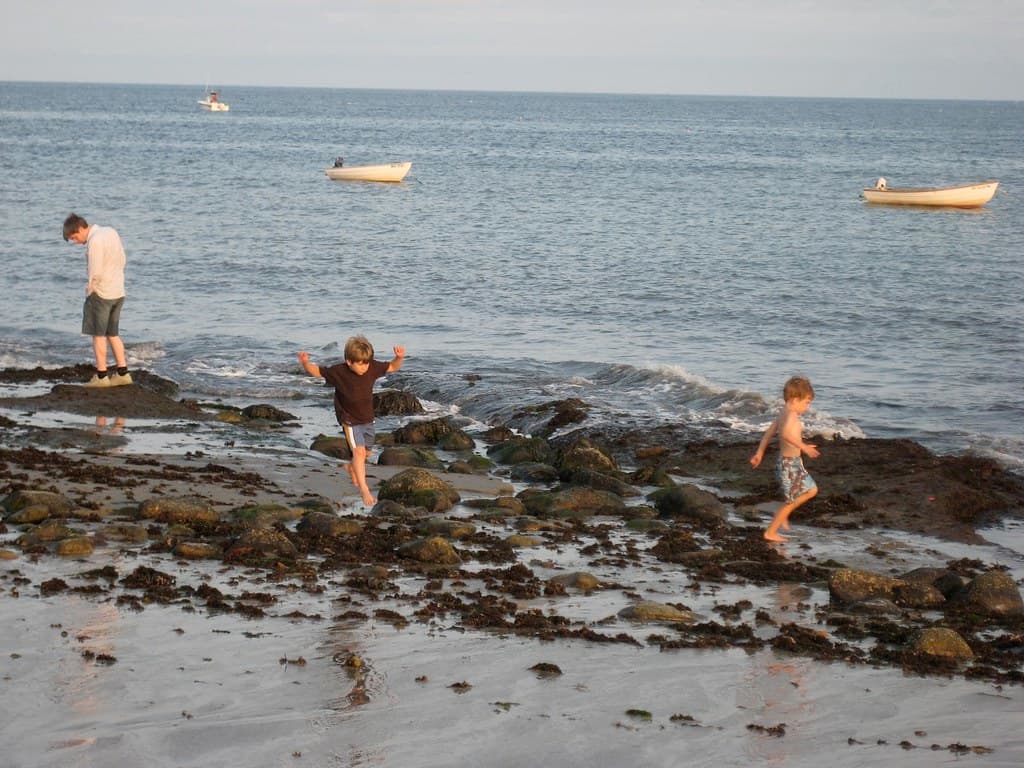 chris on a rock; children running