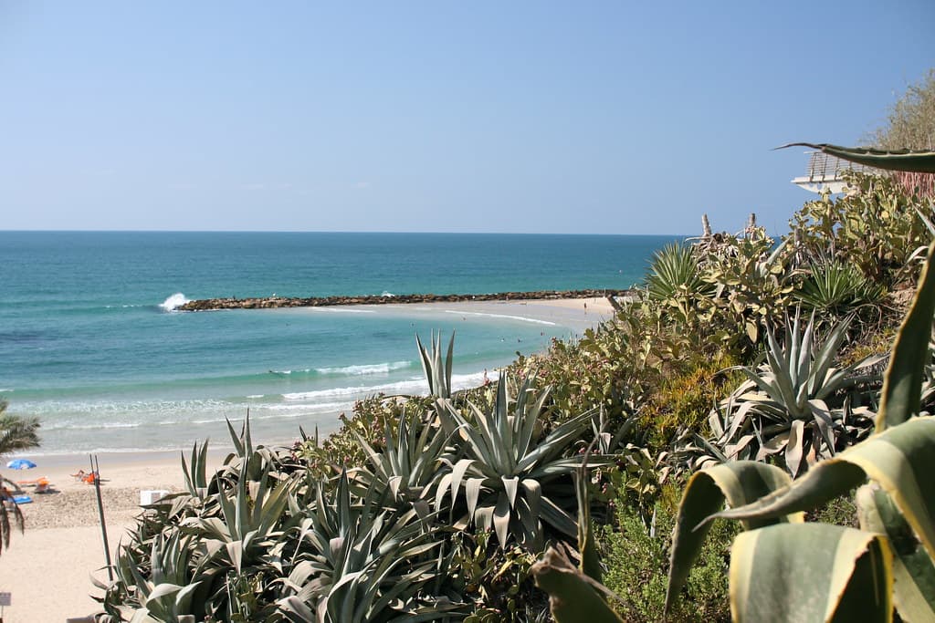 Poleg Beach