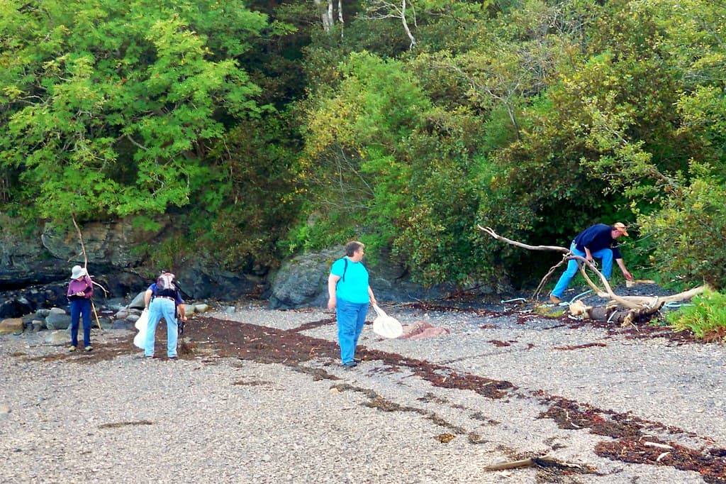 Eastport area.  Shackford Head beach walk and clean-up September 13, 2009