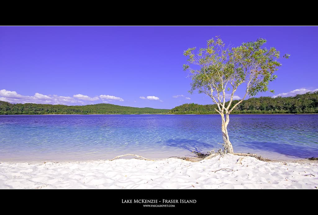 Lake McKenzie - Fraser Island - Australia