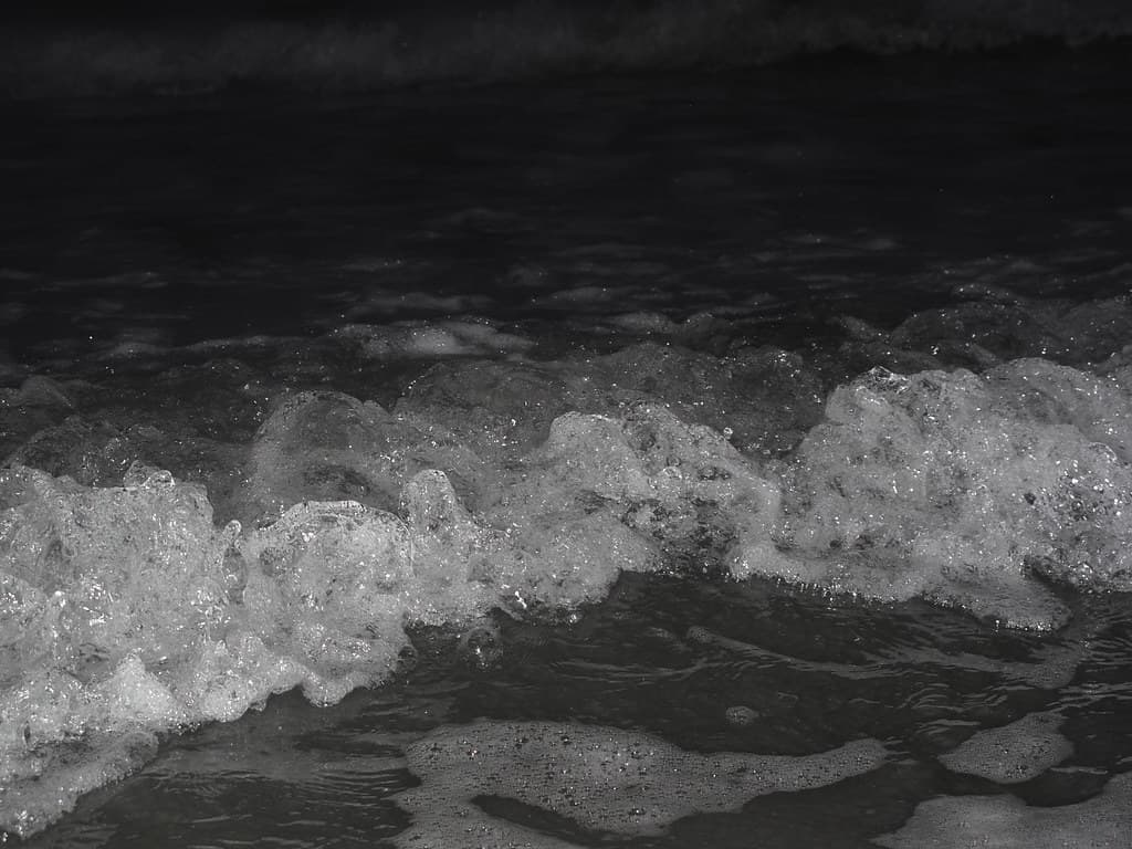 IMG_2907