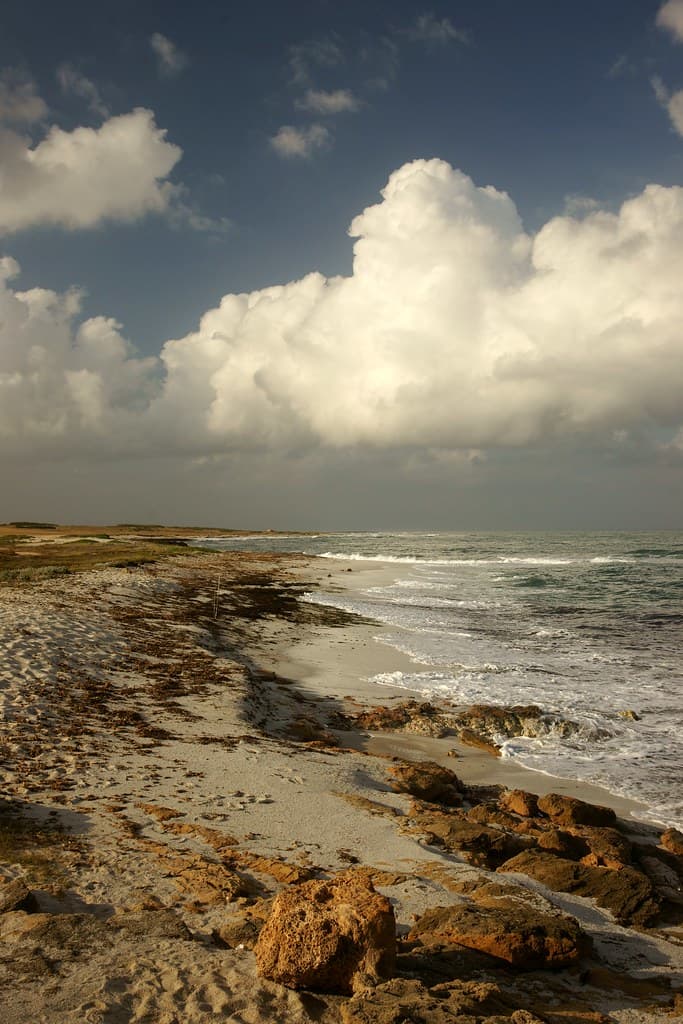 Capo Mannu Beach — photo by ggianni3