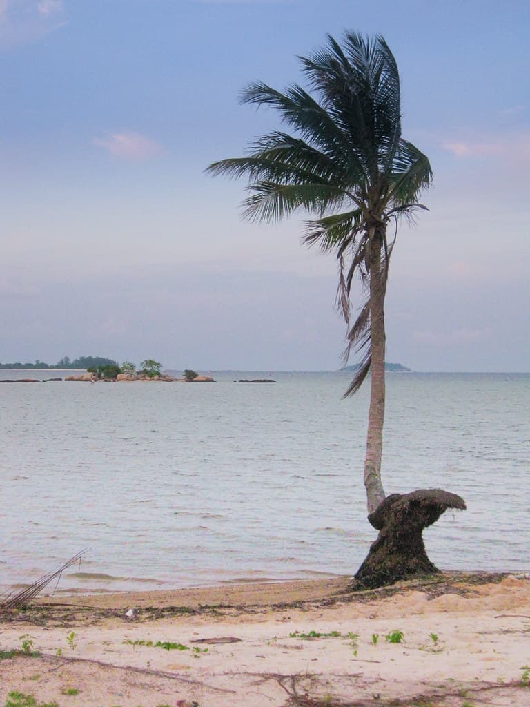 Trikora, Bintan