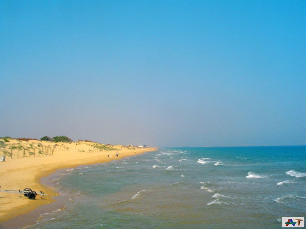 Playa Centro Guardamar — photo by Before Cuiviénen