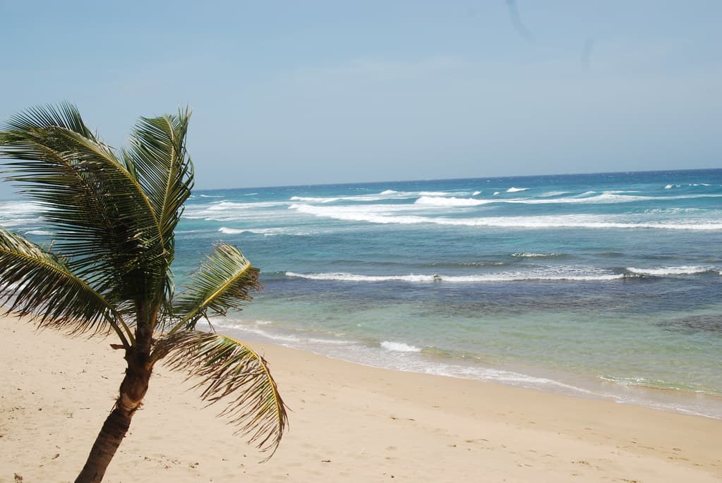 Shore Island Beach — photo by pixelyne