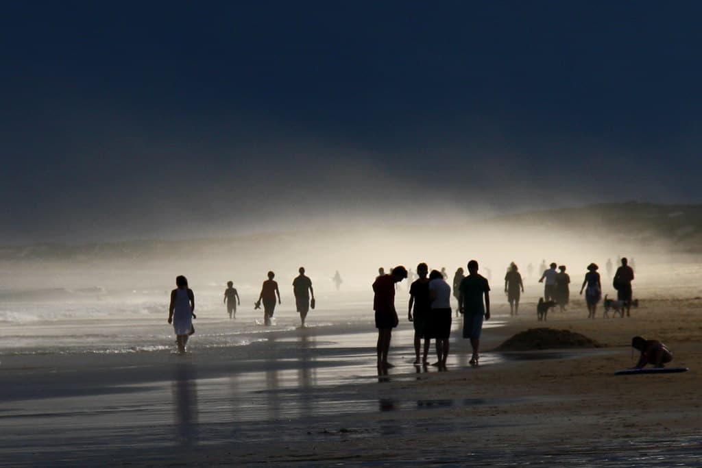 Out of the mist ...