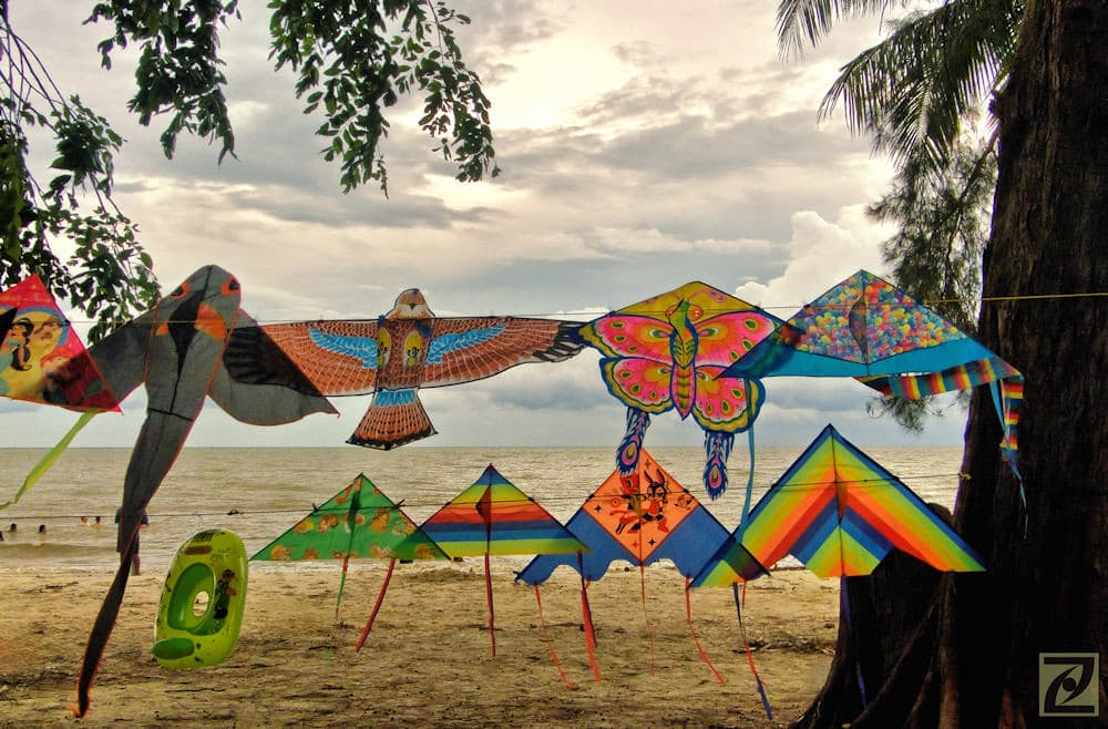 Kites For Sale