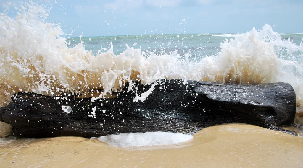 Trikora Beach
