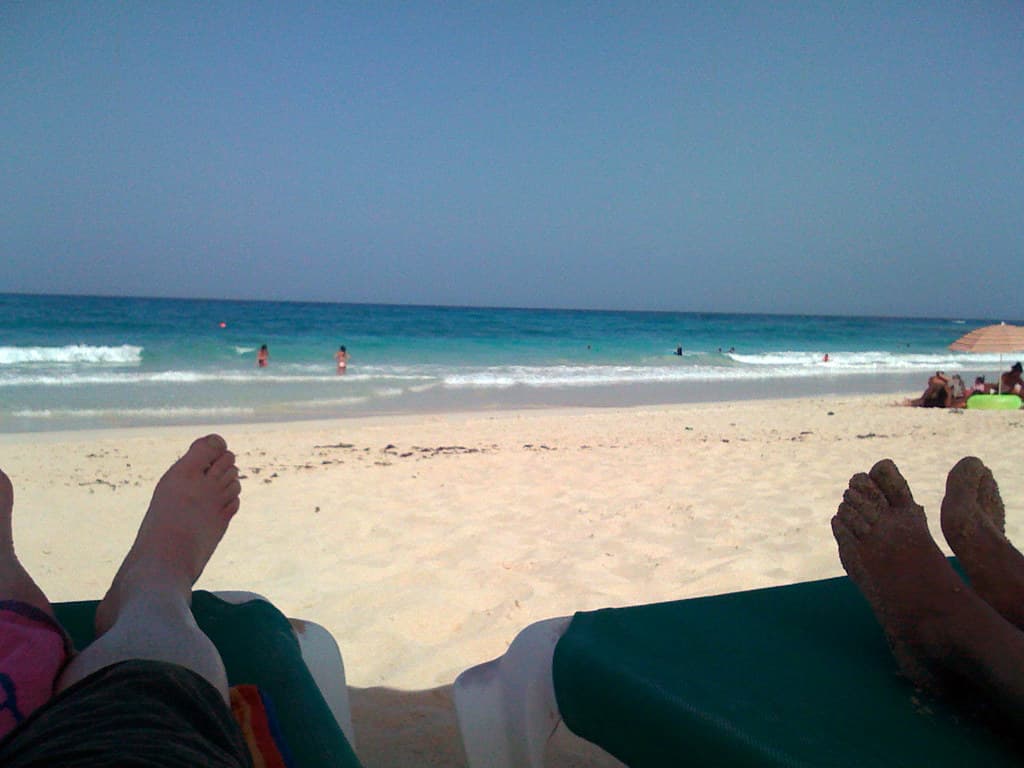 sandy shore