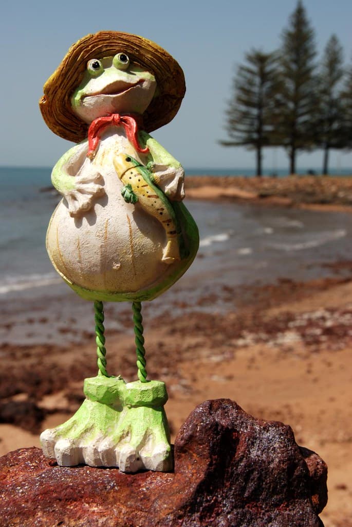 a froggy wenta fishin'