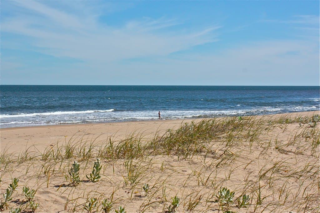 Chihuahua nudist beach