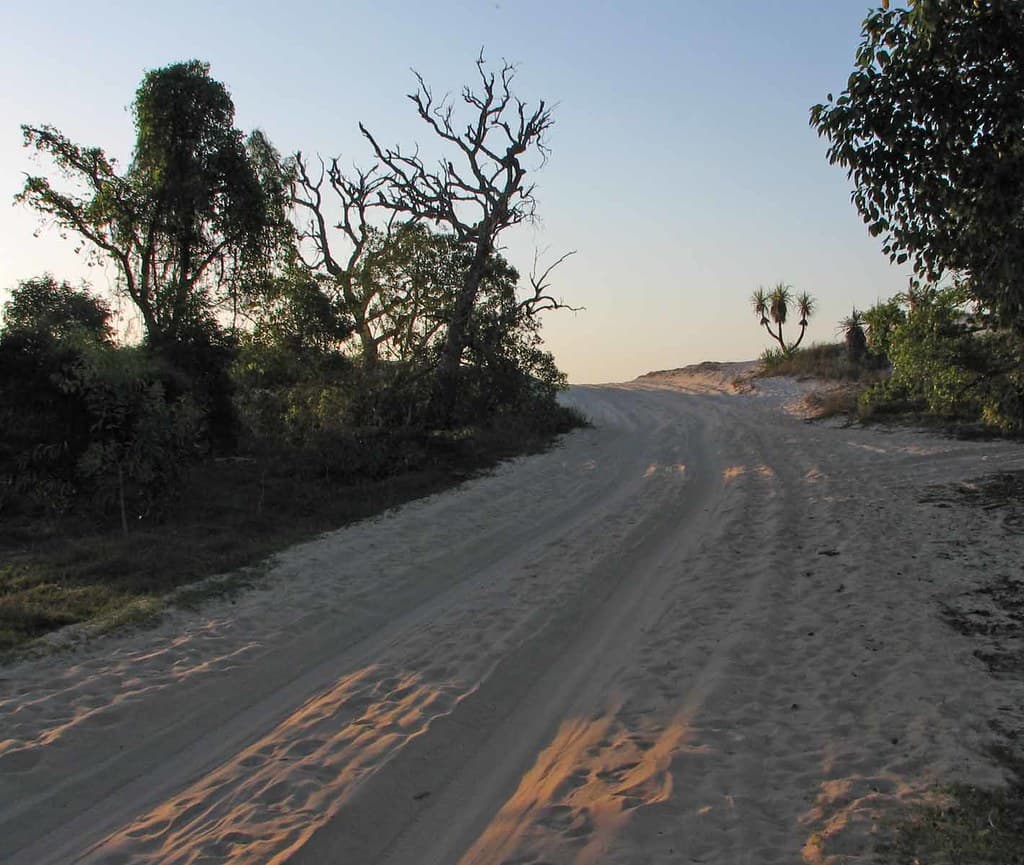 Sand Track to Thomas Bay Beach