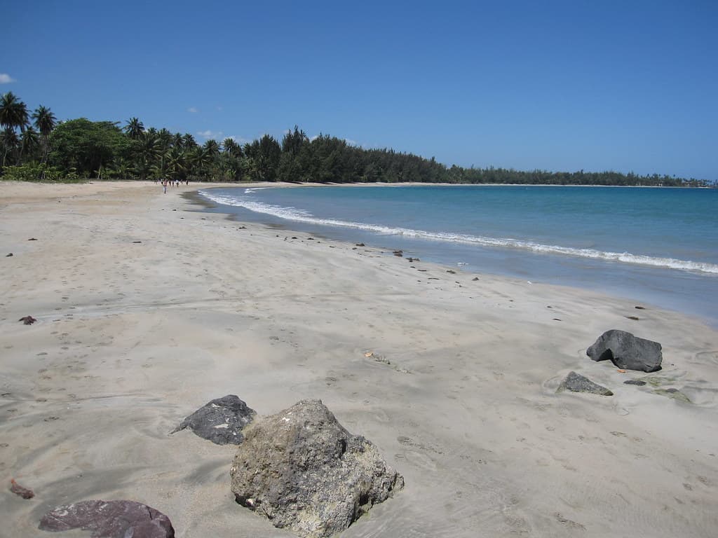 Costa de Oro Beach — photo by palestrina55