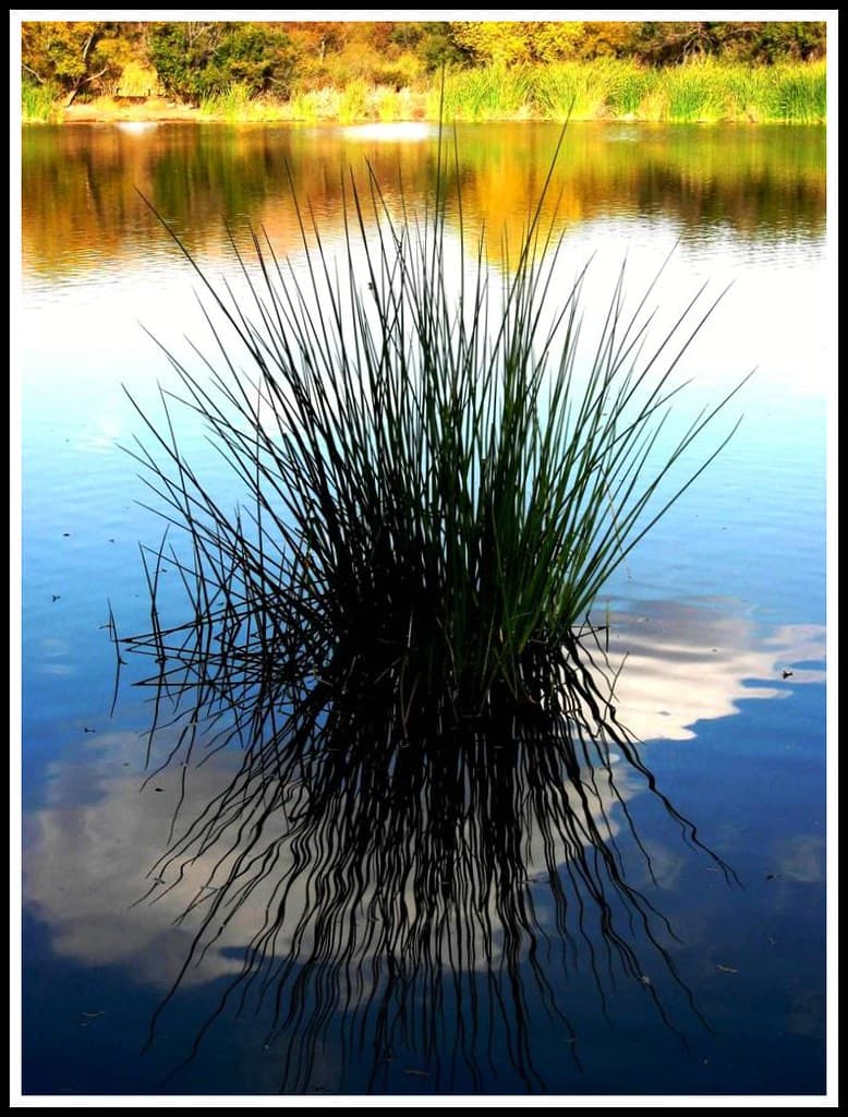 Blue Lake Beauty