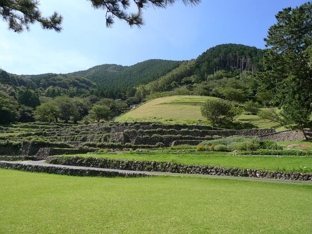 黄金崎へ下る道はとてもきれい