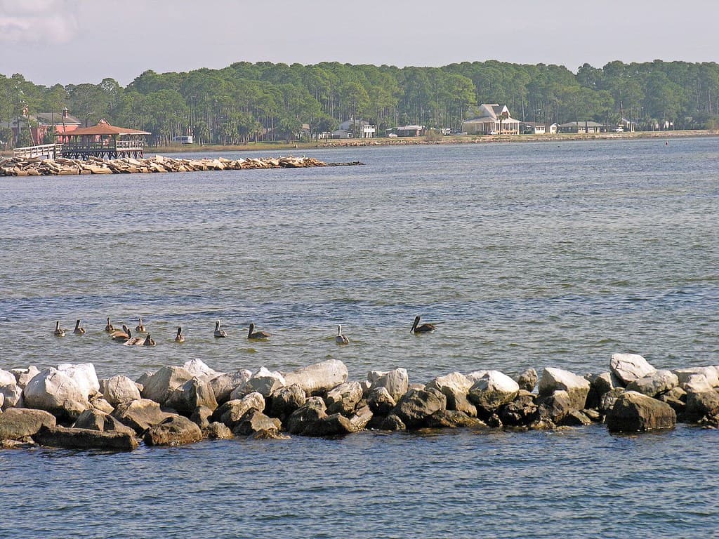 Pelican Peninsula Beach