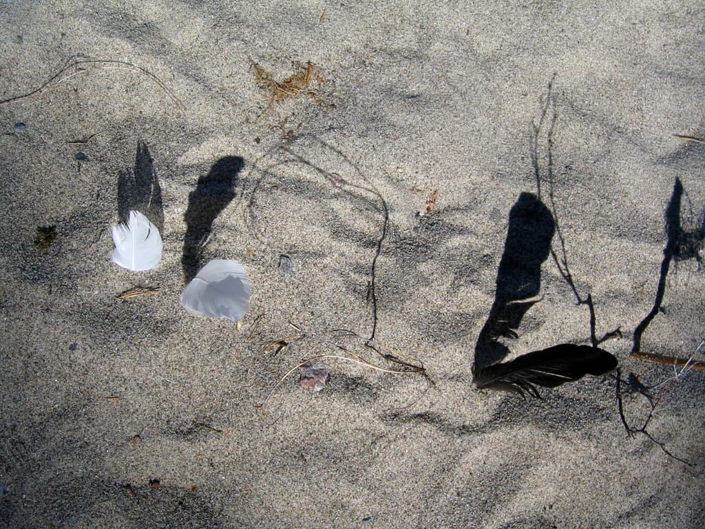 Kalkkiranta Beach — photo by MiikaS