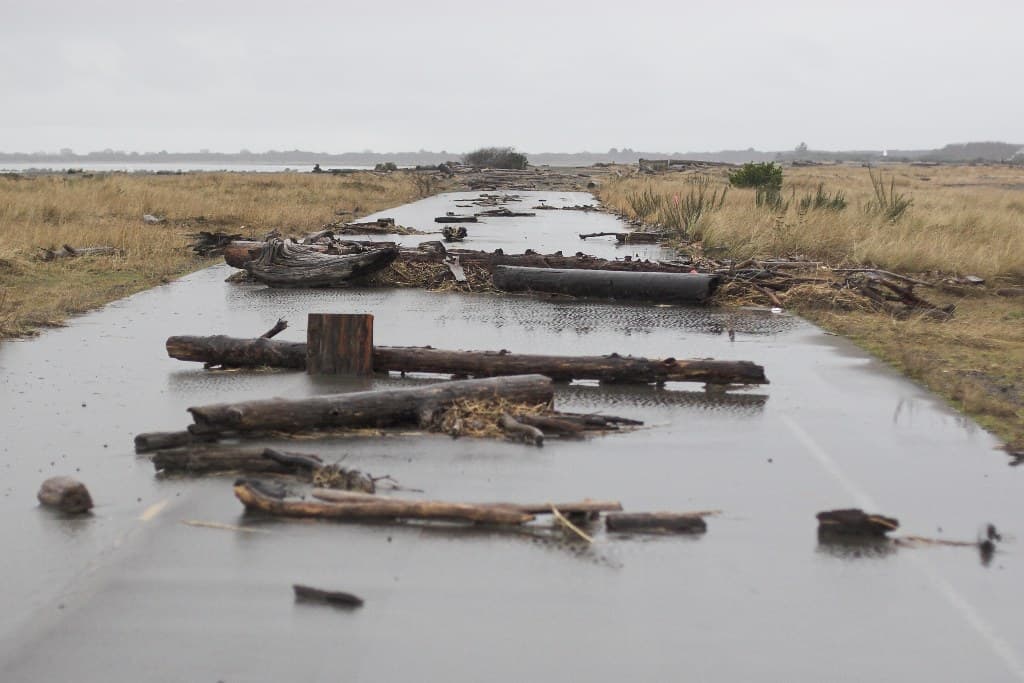Beached flotsam