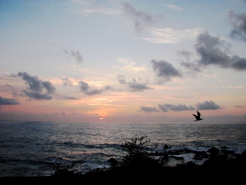 Another dawn