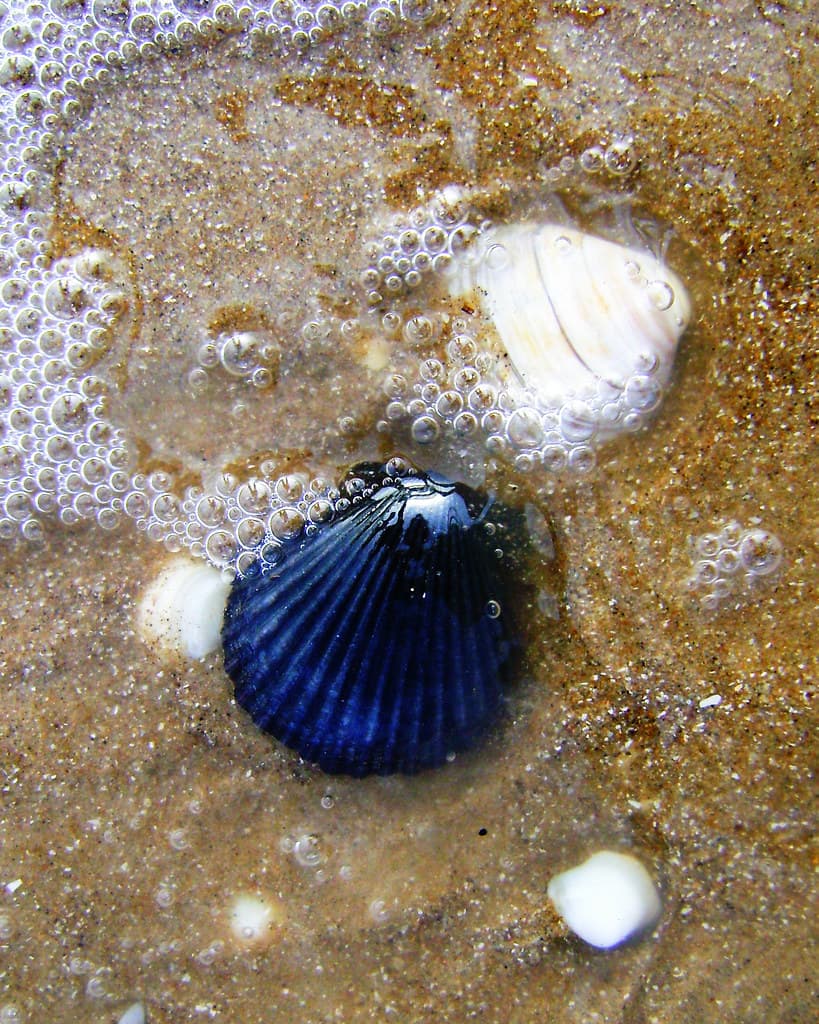Sargent Beach