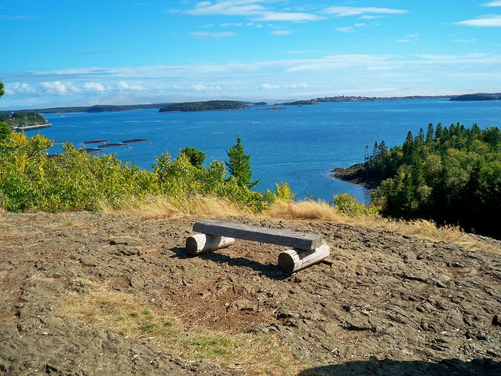 Eastport area.  Shackford Head beach walk and clean-up September 13, 2009