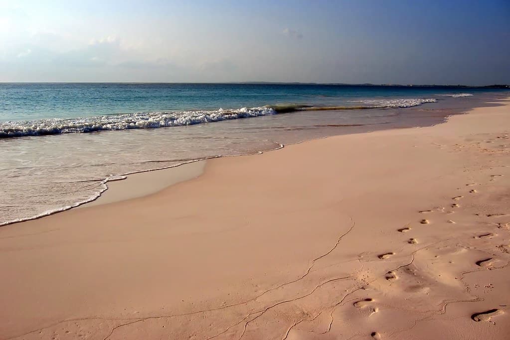 The Bluff Beach — photo by Mike's Birds