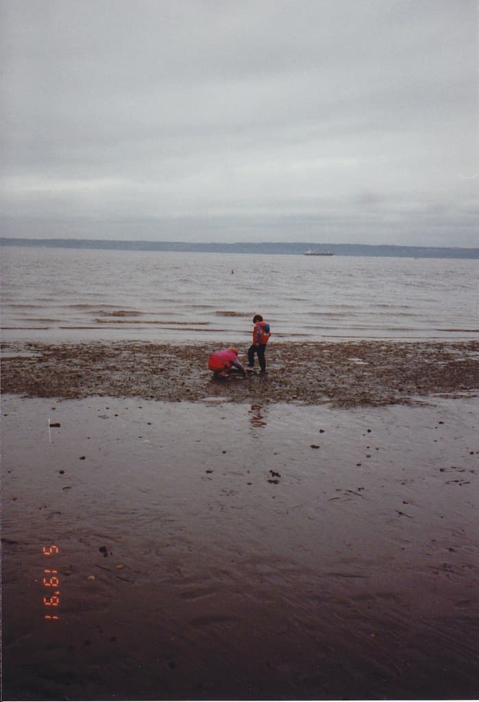 Fay Bainbridge Park Beach view 2