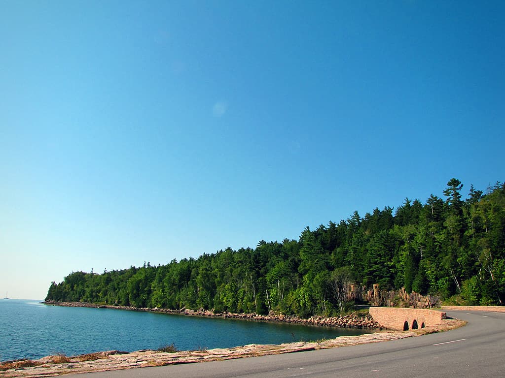 Otter Cove (Day 3)