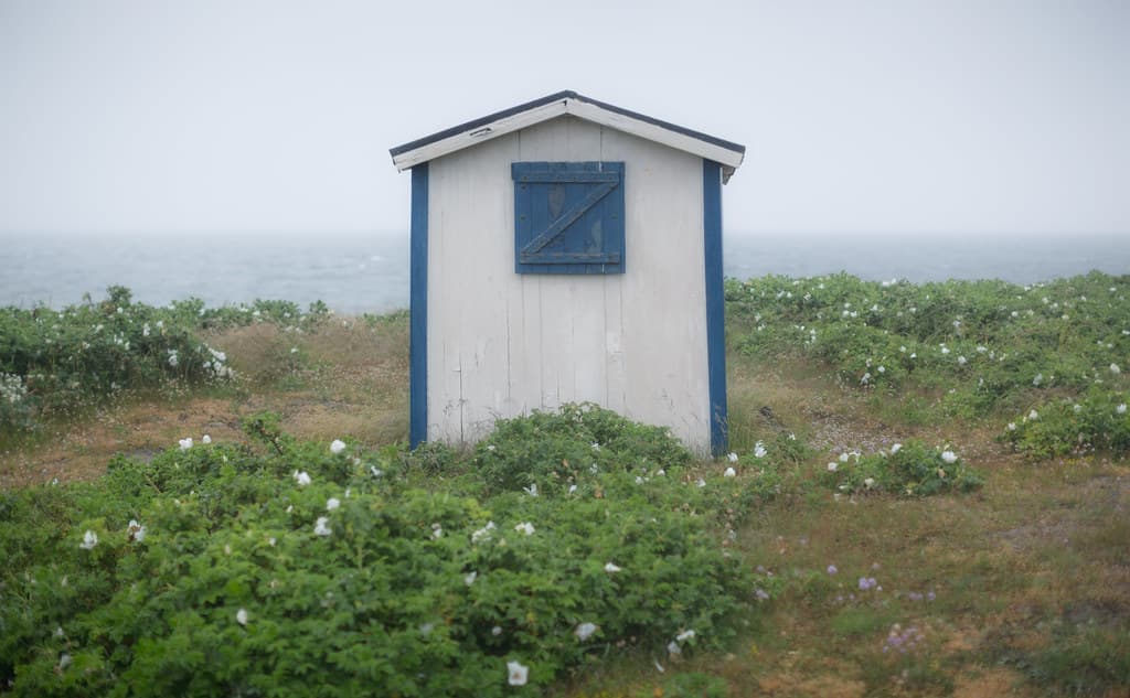 Hittarp Strand — photo by Ulf Bodin