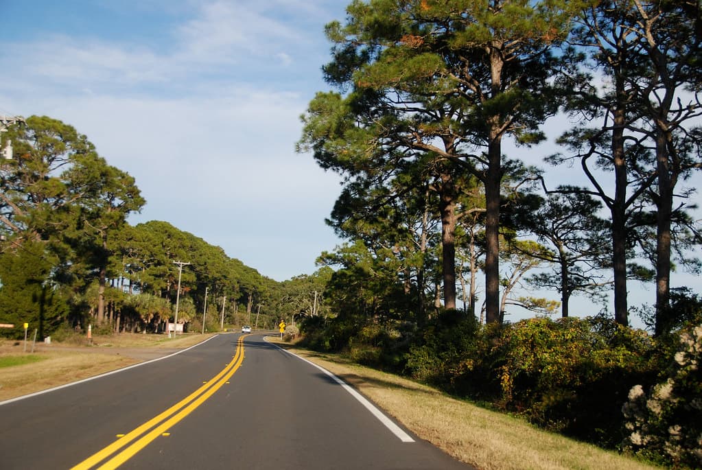 Just North of Carrabelle, Florida on Highway 98