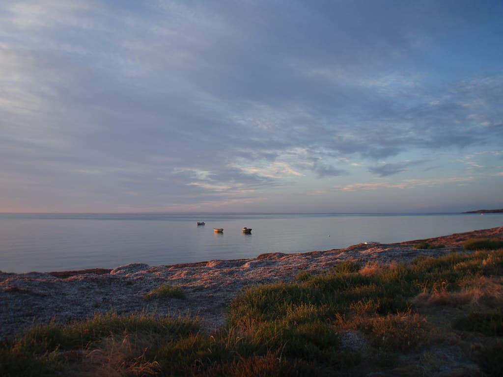 Sunrise, Last day of the year