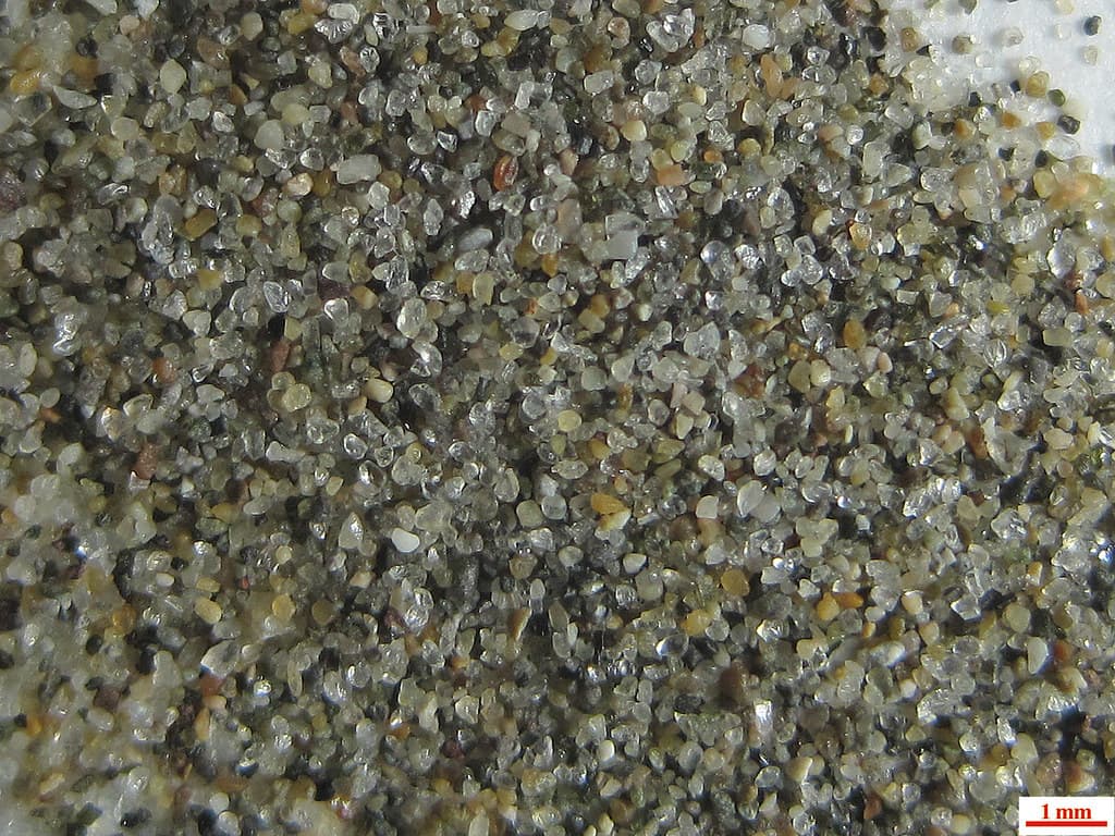 Playa - Punta Pirámide (Pen. Valdés, Argentina)