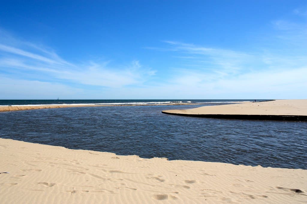 Chihuahua nudist beach