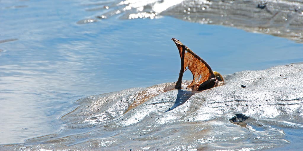 Sandbar Beach