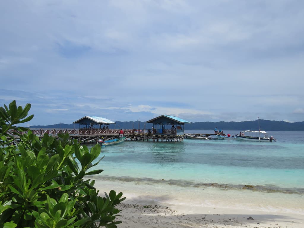 Croisière plongée à Raja Ampat - Indonésie