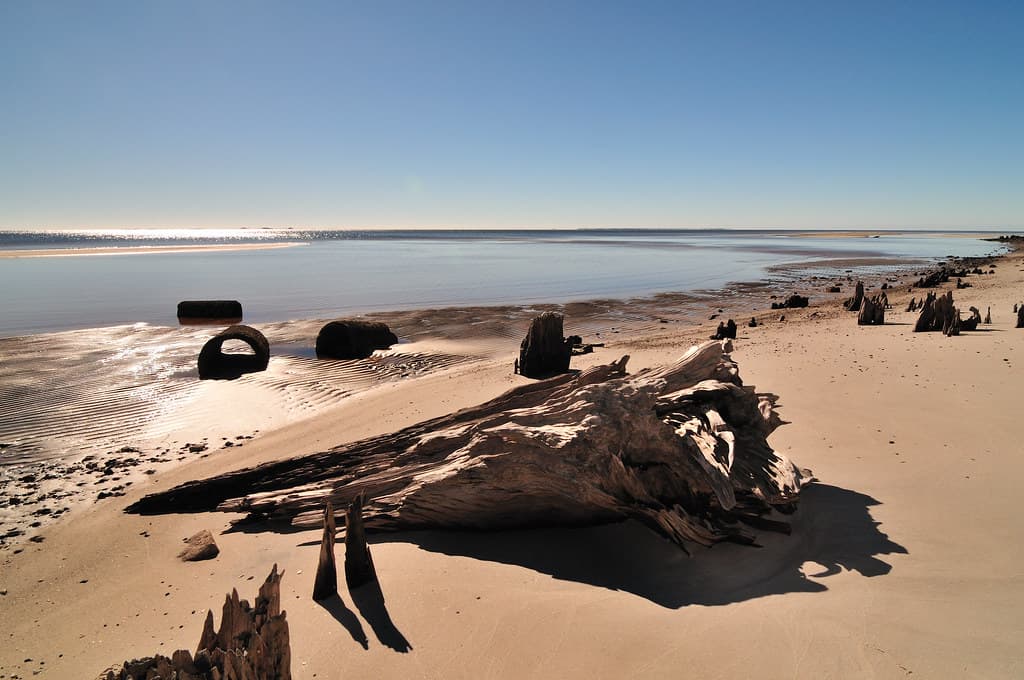 Carrabelle beach, off highway 98