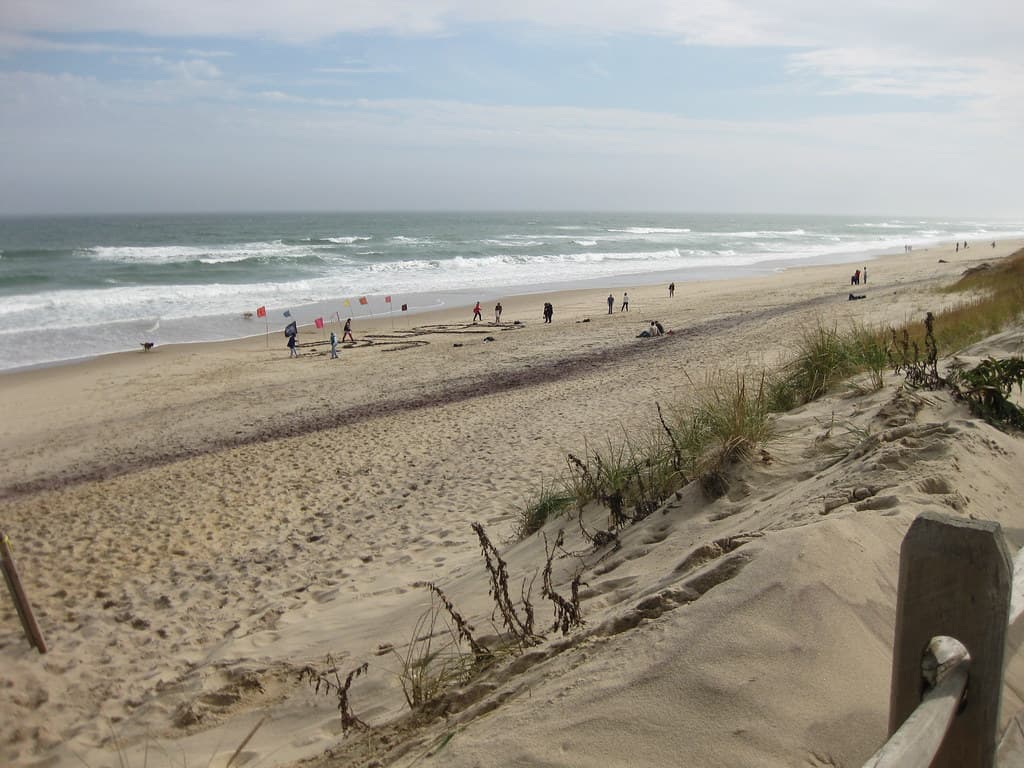 Wellfleet, MA, USA