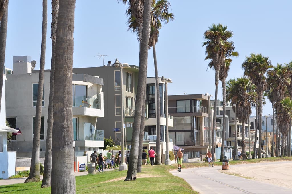 Venice Beach (114)