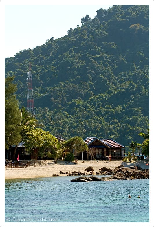 Holiday